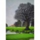 DEPERTHES Jacques terrain de golf
