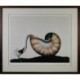 DONADINI Jean-Paul cygne dans une coquille d'escargot