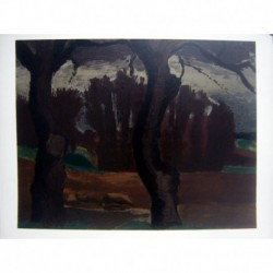 SOMBRE FORET