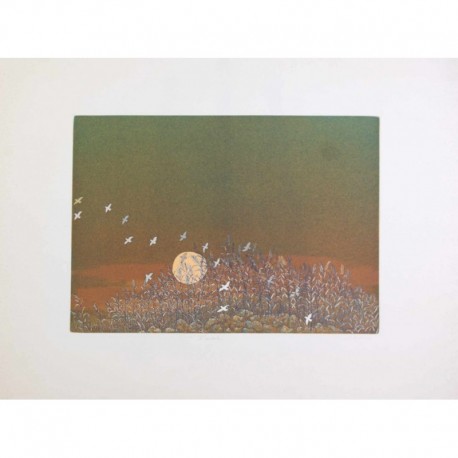 oiseaux dans les buissons