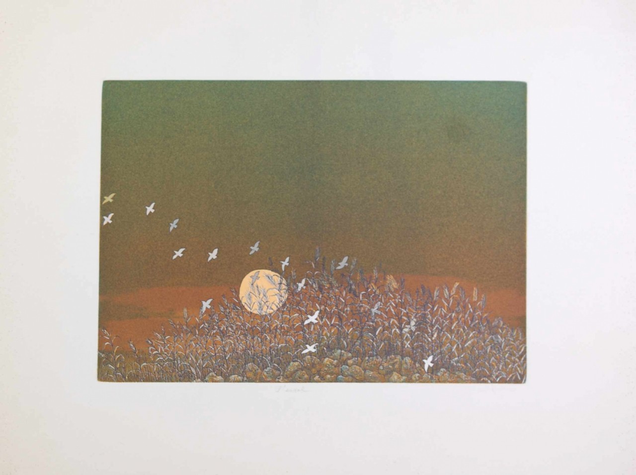 oiseaux dans les buissons