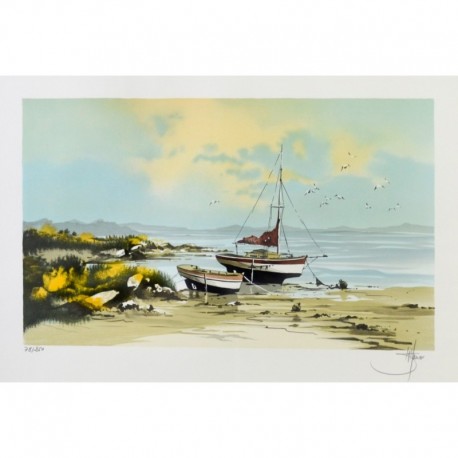 LAURO Stéphane bateaux sur la plage à marée basse