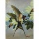 LEROY Gaston oiseau sur la branche