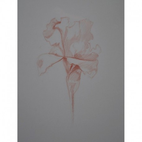ETUDE FLORALE
