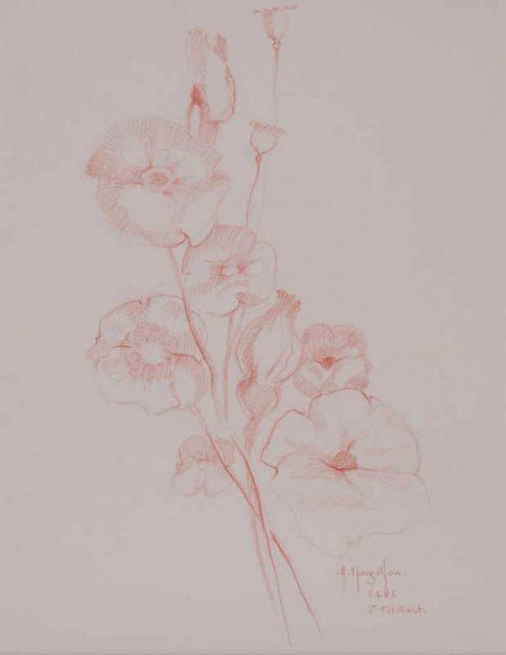 SAINT THIBAUT - MARGOTTON Alain (1948- ) - Dessin