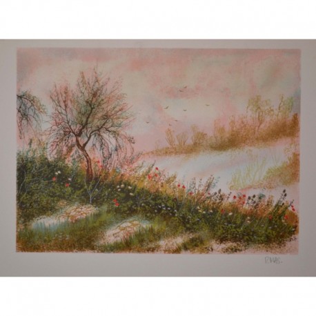 MAS Pierre mas coquelicots