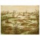 PAYSAGE MARECAGEUX