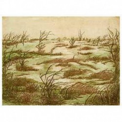 PAYSAGE MARECAGEUX