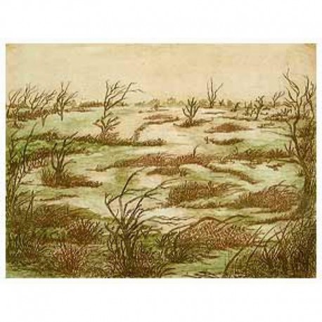 PAYSAGE MARECAGEUX