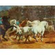 LE DRESSAGE DES CHEVAUX