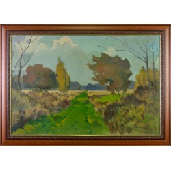 LES MARAIS DE GRAYE EN HIVER