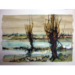PAYSAGE MARECAGEUX