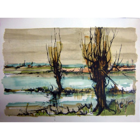 PAYSAGE MARECAGEUX