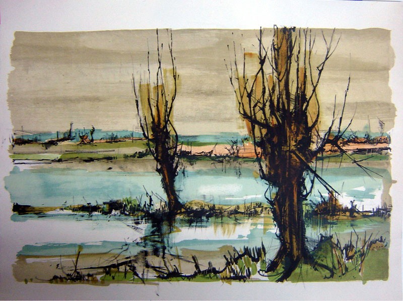 PAYSAGE MARECAGEUX
