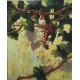 MALLET Edouard vigne grappes de raisins