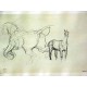 LE CHEVAL FEROCE