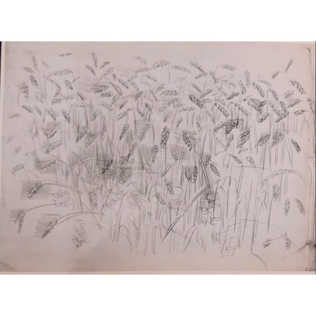 Raoul Dufy, Les blés