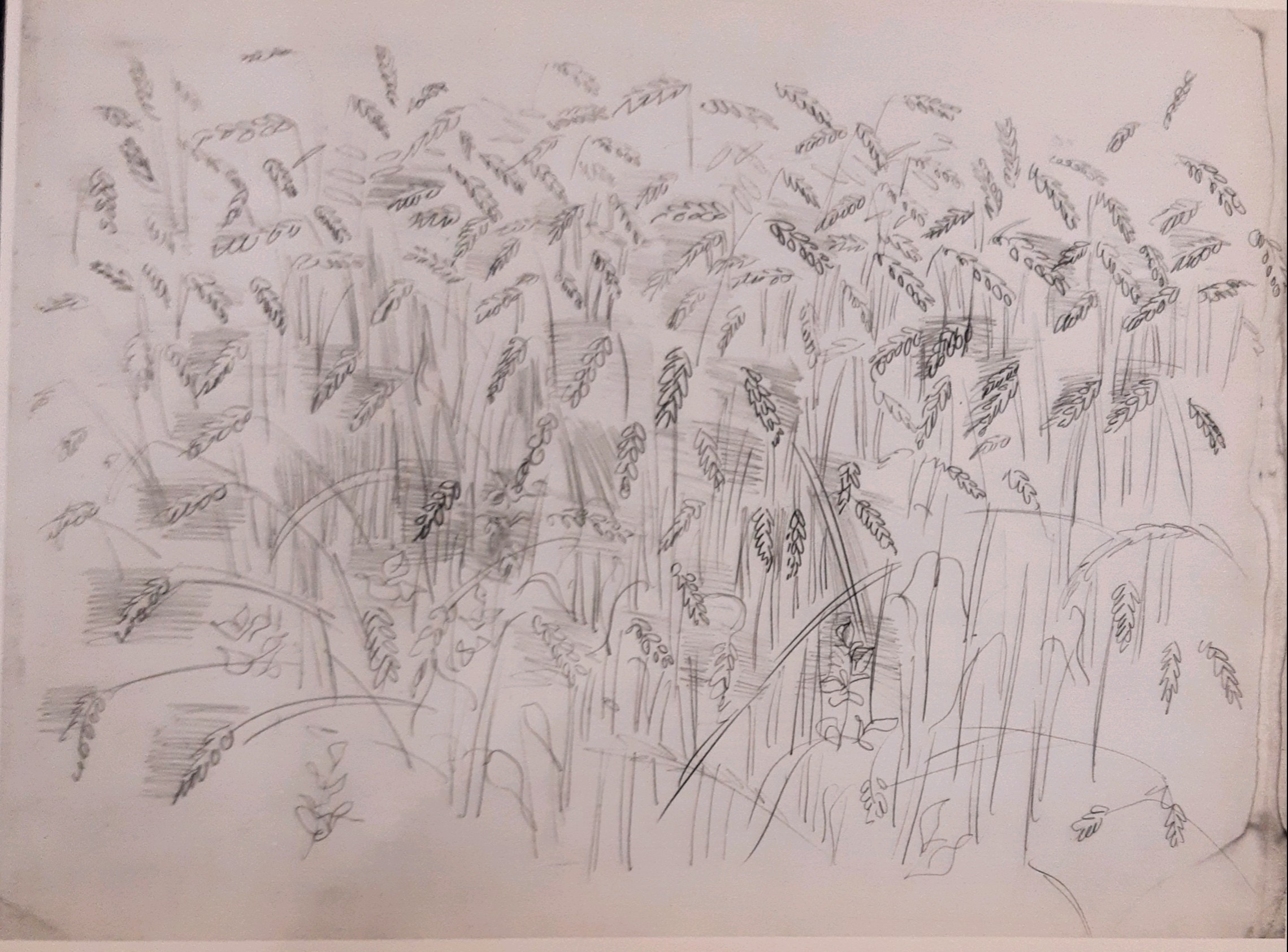 Raoul Dufy, Les blés