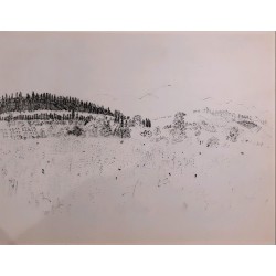 PAYSAGE AU ROUSSILLON