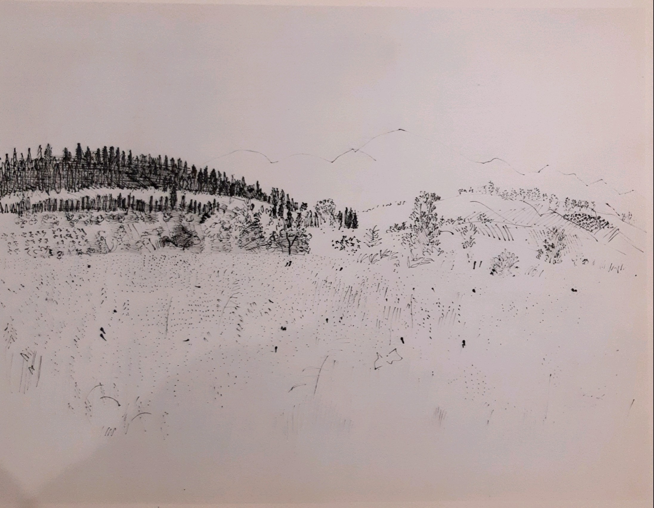 Raoul Dufy, Paysage au Roussillon