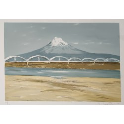 FUJI YAMA