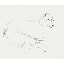 LES CHIENS