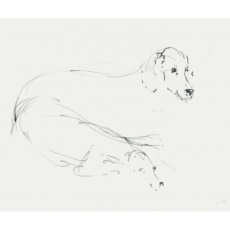 LES CHIENS - RAFFLEWSKI Rolf (1943 - ) - Dessin