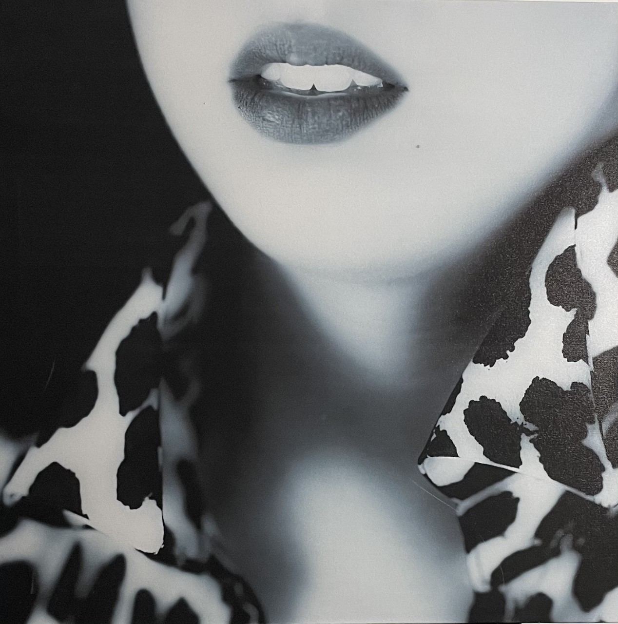 LIPS - PAPAGENO Yves (1959- ) - Photographie