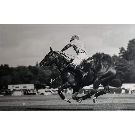 POLO 10 CHANTILLY - PAPAGENO Yves (1959- ) - Photographie