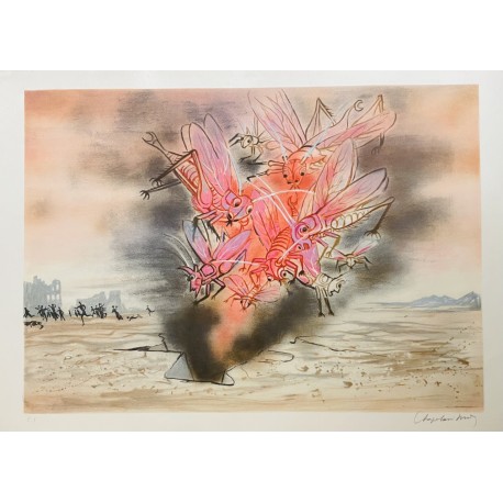 LES INSECTES - CHAPELAIN-MIDY Roger (1904-1992) - Lithographie
