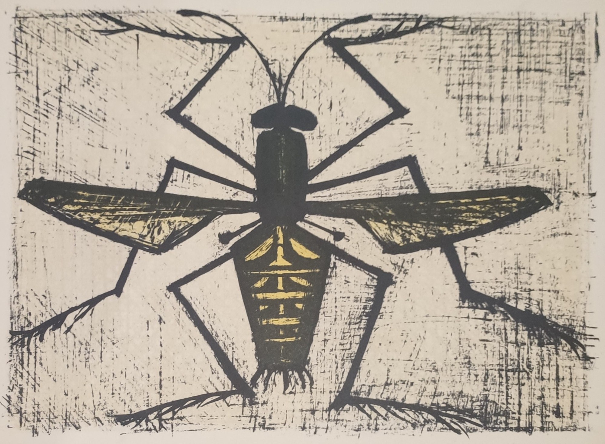 INSECTE - BUFFET Bernard (d’après ) (1928 - 1999) - Lithographie