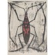 INSECTE - BUFFET Bernard (d’après ) (1928 - 1999) - Lithographie