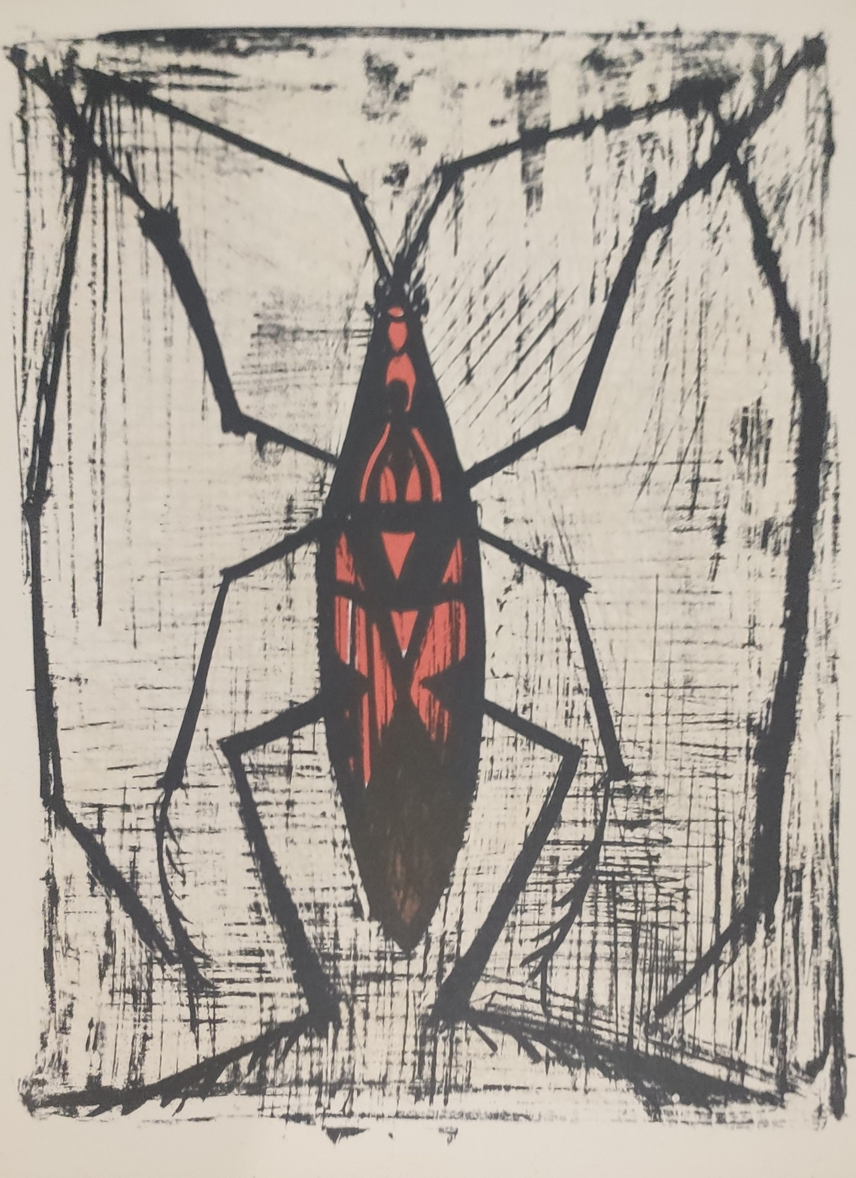 INSECTE - BUFFET Bernard (d’après ) (1928 - 1999) - Lithographie