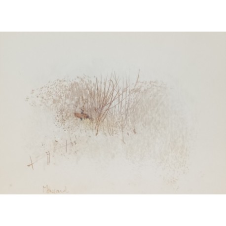 PAYSAGE D’AUTOMNE - MASSARD Léo (1945 - ) - Huile sur papier