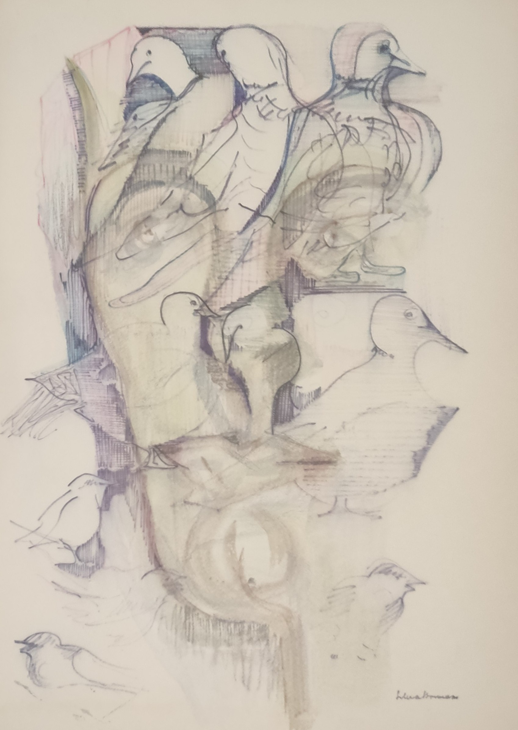 SANS TITRE - ARMASU Irina Silvia (1992 - ) - Lithographie