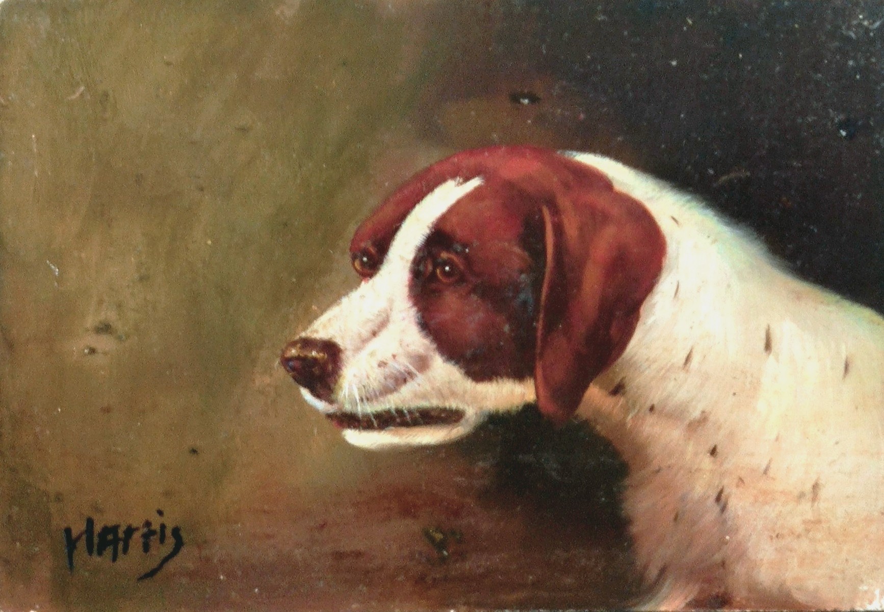 CHIEN À L’ABOI - HARRIS Steve (XXème siècle) - Huile sur panneau