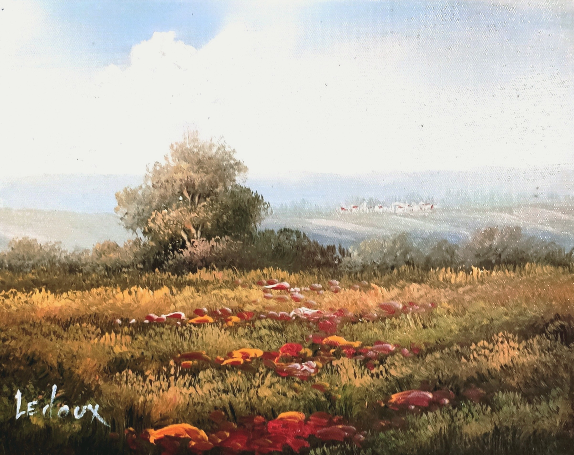 CHAMP DE COQUELICOTS - LEDOUX Fernand (XX ème siècle) - Huile sur toile