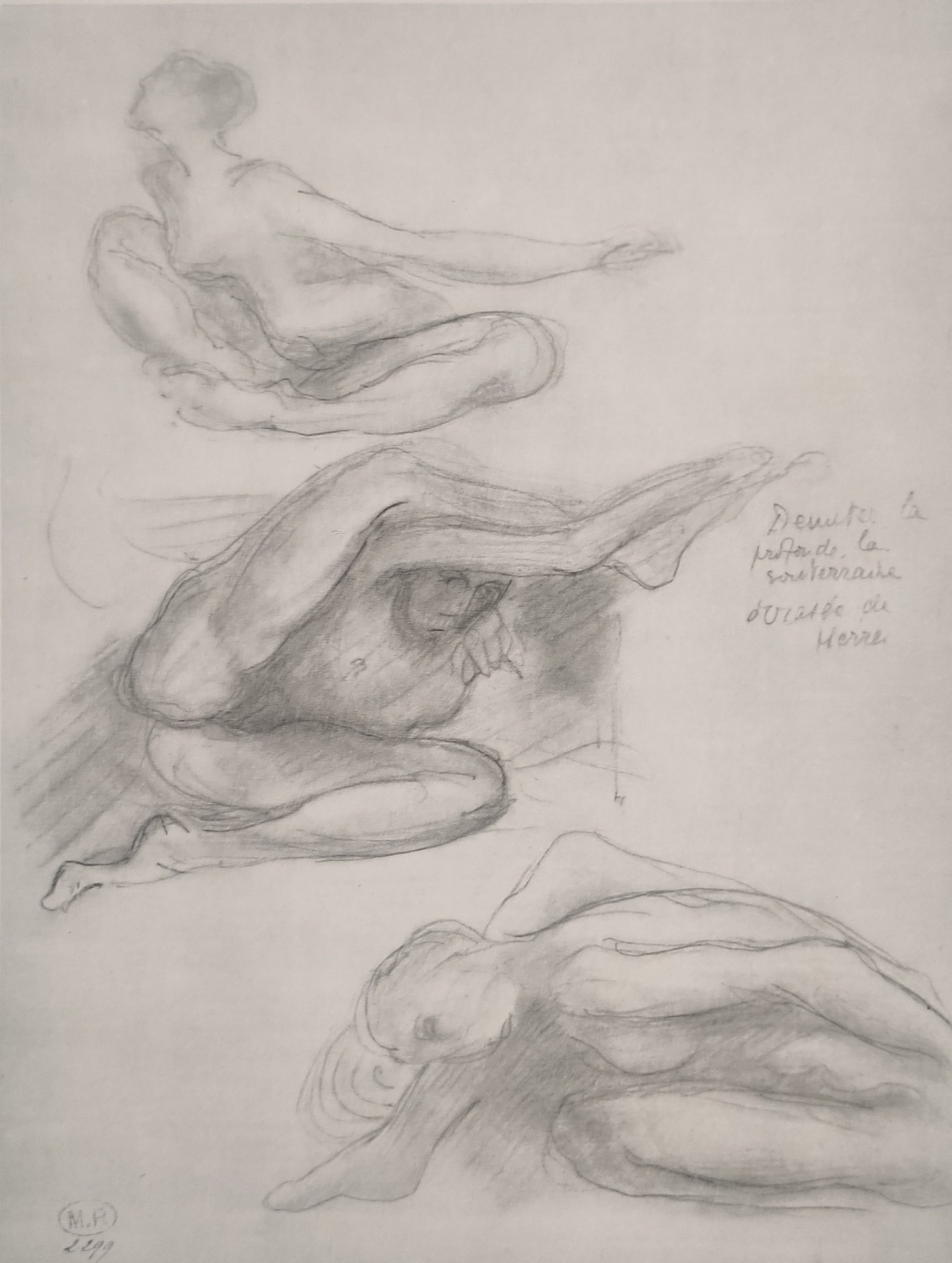 ETUDE DE NUS - RODIN Auguste (d'après) (1840 - 1917) - Héliogravure