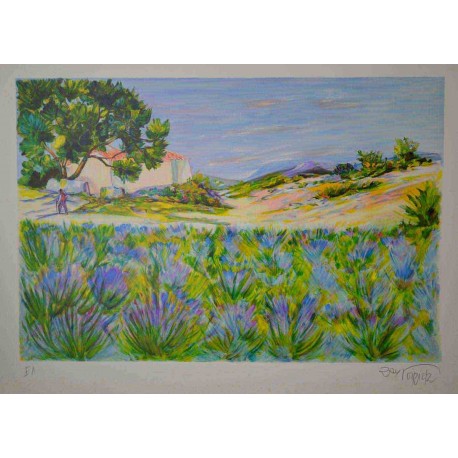 CHAMP DE LAVANDES - POIRIER Ray (1938 - ) - Lithographie