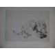 LES MORTS - WEISBUCH Claude (1927 - ) - Gravure