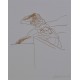 LE FEU - WEISBUCH Claude (1927 - ) - Lithographie