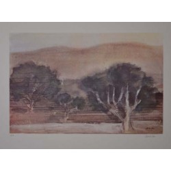 PAYSAGE