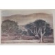 PAYSAGE
