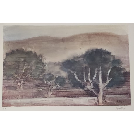 PAYSAGE
