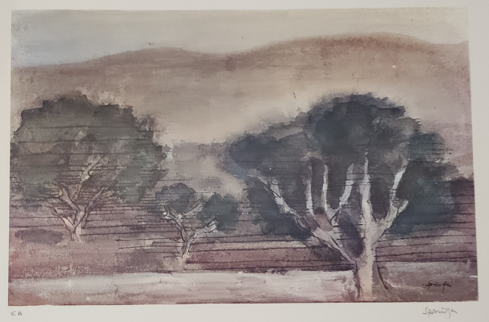 PAYSAGE