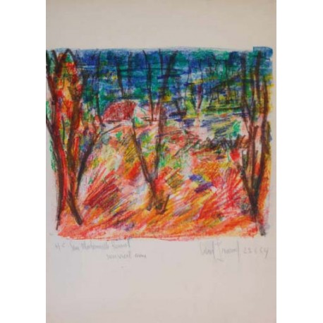 SOUS BOIS COLORE