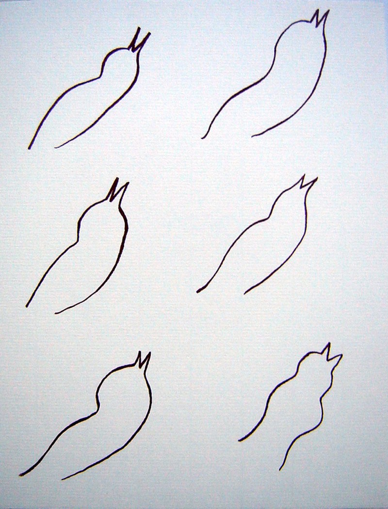 OISEAUX