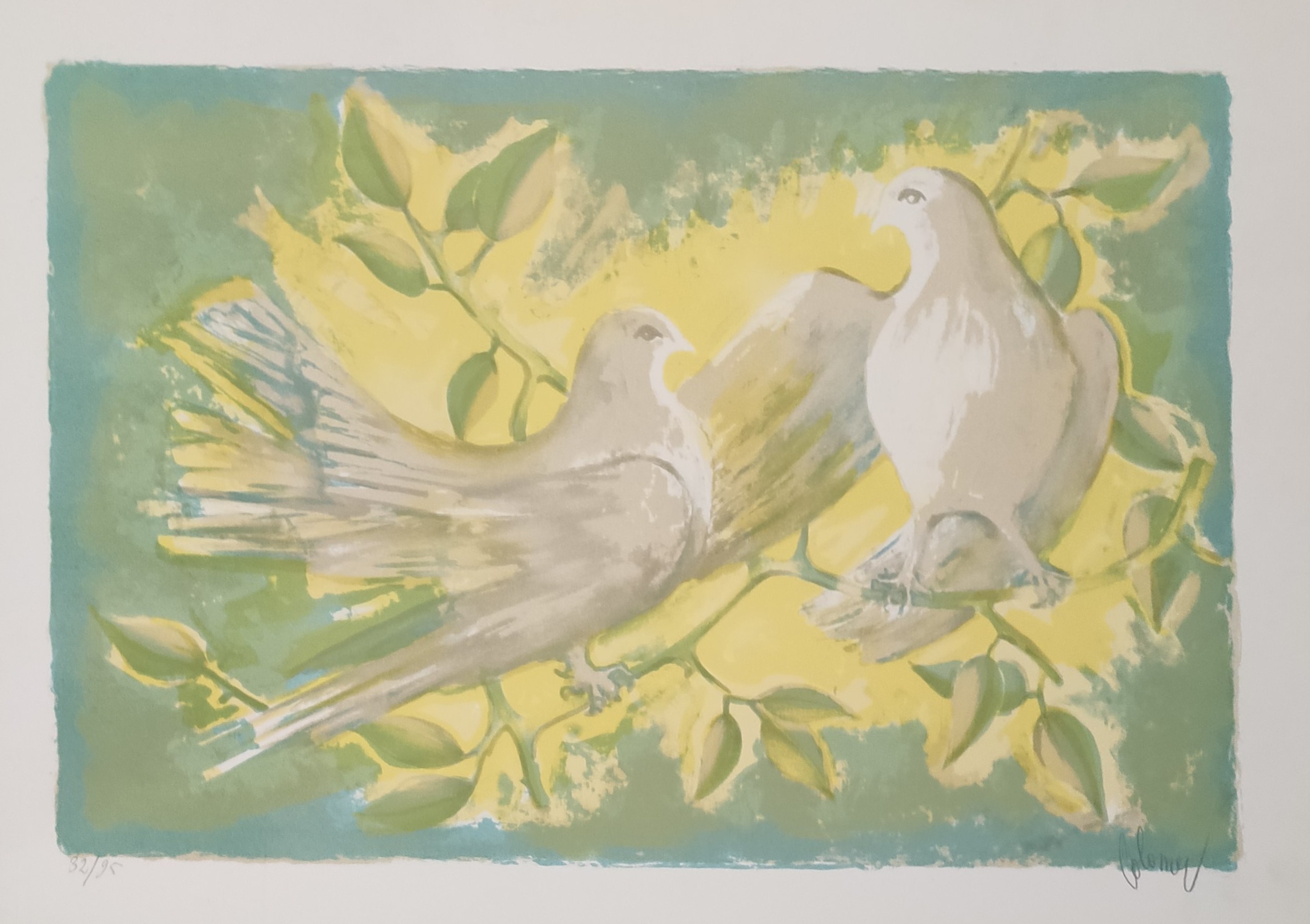 PIGEONS