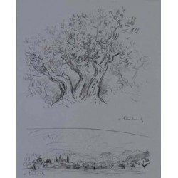 OLIVIERS ET PAYSAGE EN PROVENCE