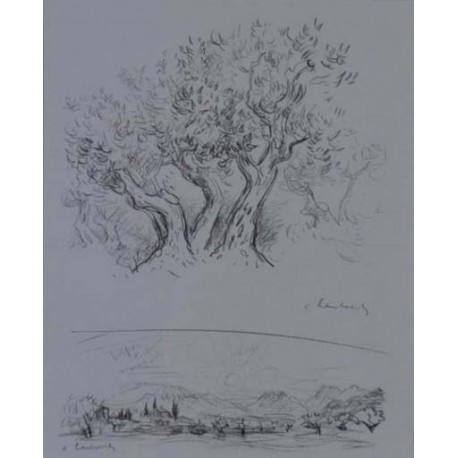 OLIVIERS ET PAYSAGE EN PROVENCE